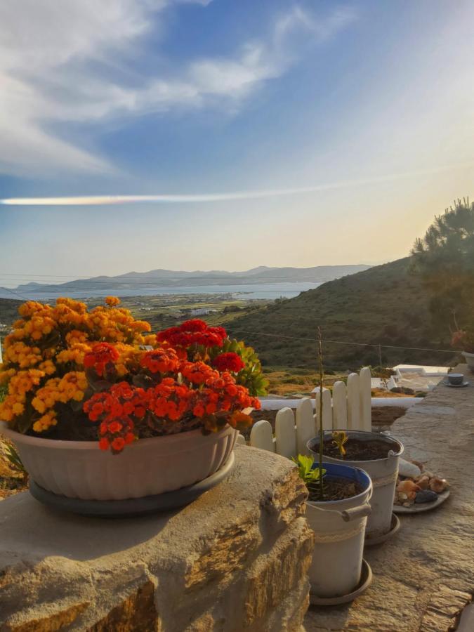 Holiday home Romantic Sunset Cycladic House In Sotires *