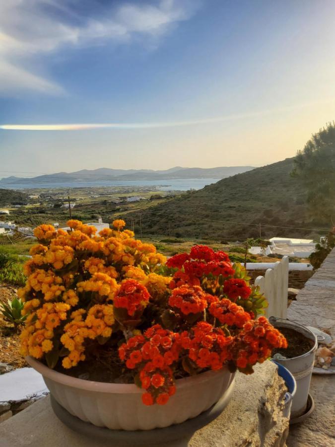 Romantic Sunset Cycladic House In Sotires